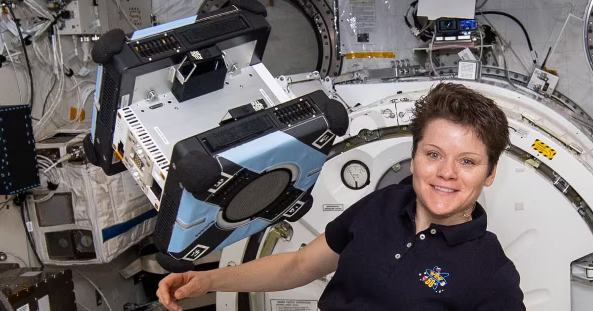 Meet the Astrobees: NASA's Free-Flying Robot Bees on the Space Station ...