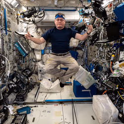 News image: Expedition 73 Tracks Health and Gears Up for Cargo Missions