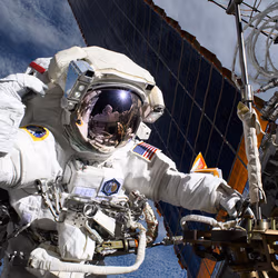 News image: Crew Cleans Up After Spacewalk, Studies Biology, Earth Science, and More