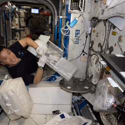 News image: Station Crew Tracks Changes to Eyes, Brain, and Blood in Space