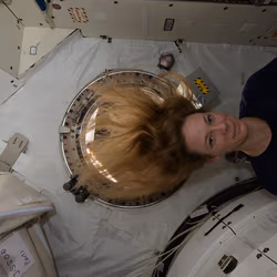 News image: Crew Expands on Health Research, Botany and Pharmaceutical Work