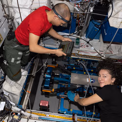 News image: Biotech Research on Station Informing Advanced Cancer and Heart Treatments