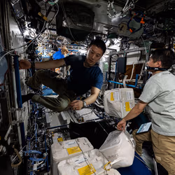 News image: Crew Spends Tuesday Focused on Health Research