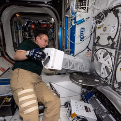 News image: Biology, Botany Research Advancing Health as Two Resupply Missions Near Launch