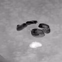 News image: NASA’s SpaceX Crew-11 Dragon Splashdown at 3:41 a.m. EST