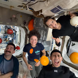 News image: Cargo Mission Launching Saturday as Crew Wraps Week with Research