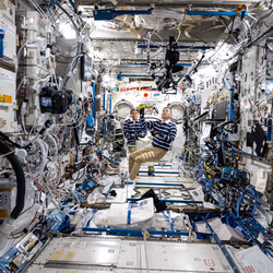 News image: Veins, Vessels Fill Station Research Schedule after Crew Returns to Earth